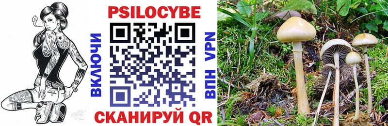 Псилоцибиновые грибы прущие грибы  купить наркоту  Опочка 