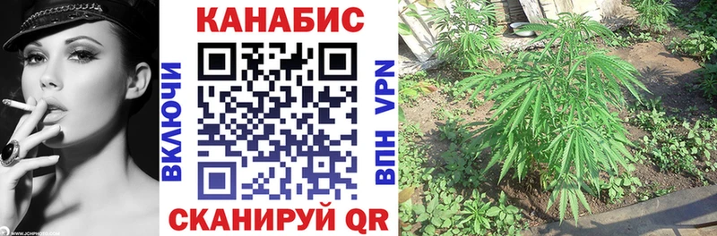 Конопля конопля  МЕГА маркетплейс  Опочка 